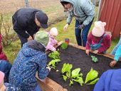 hochbeet-2025-13.jpg